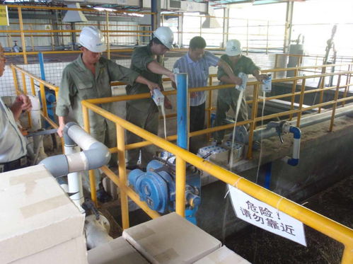 湘潭新手考證指南 固體廢物處理工證考試流程、體檢要求及污染治理工作解讀