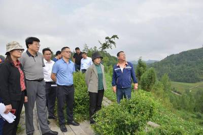 楊永英率隊赴黔西南州開展《固體廢物污染環境防治法》執法檢查并召開座談會