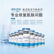 企業介紹