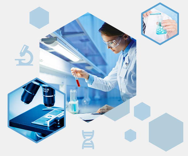 解碼生命，創見未來——[公司名稱]生物科技公司簡介